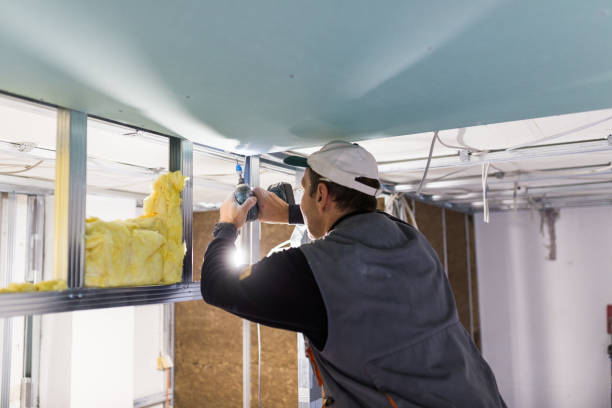 Best Insulation Installation Services in St George, KS